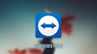 Teamviewer Pro 12