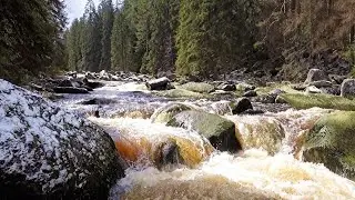 Vydra - jaro