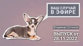 Ваш случай в эфире. Выпуск от 28.11.2022