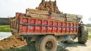 For You || Unload - Trending Video • MF Tractor | Videos