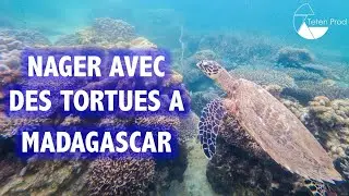 Focus On Nosy Be - Madagascar 2023