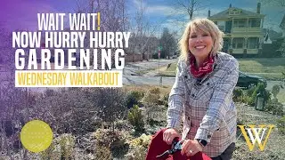 Wait, Wait! Now Hurry, Hurry! Gardening