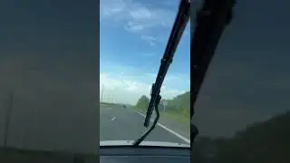 Везу кота в Казахстан #дорога #кот
