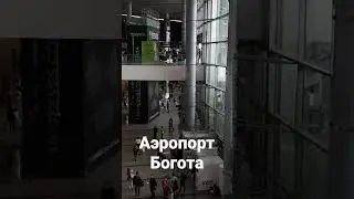 бегите, глупцы