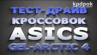 Кроссовки для зимы Asics Gel Arctic 4