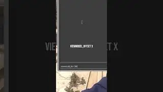 Changing Viewmodel in game? 💻 