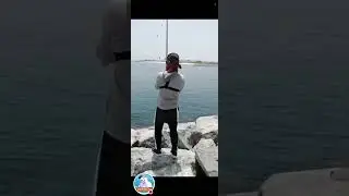 Giant milkfish landed