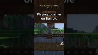 Crossplay Minecraft Server 