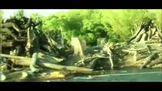 Top 5 Disney's Animal Kingdom Attractions
