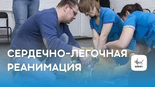 Сердечно-легочная реанимация животных