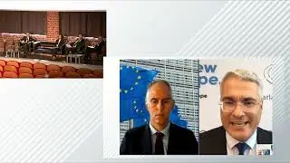Plenary debate: New challenges to territorial cohesion.
