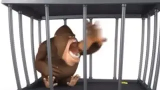 Gorilla eats monkey (TAEB)