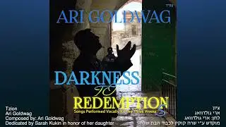 Ari Goldwag | Tzion (A Cappella) ארי גולדוואג ציון ווקאלי