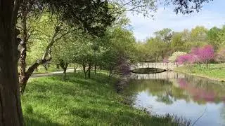 Bridge and Stream at Forest Park, St. Louis, MO, 2021