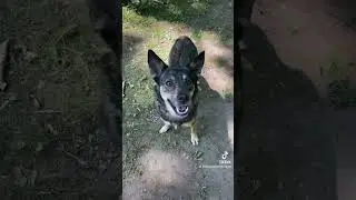 Правда она хорошенькая? 