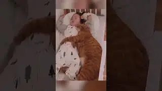 Adorable Cat Moments! 😻✨ #CatLoversUnite #CuteKittyVibes #FurryFriendsForever...