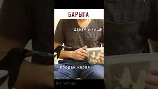 #сорока