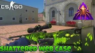 CS:GO SHATTERED WEB CASE FOR CS 1.6 HD SKIN PACK // TR & CT HAND