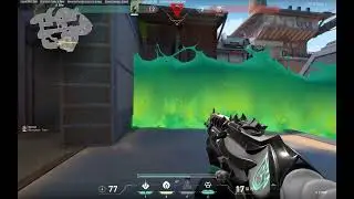 QUICK VIPER 1v5