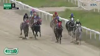(Busan) 2022.09.25 R5 Shin Yun-seob waste's no time riding winner number 21
