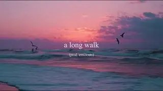 neb - a long walk (lyric video)