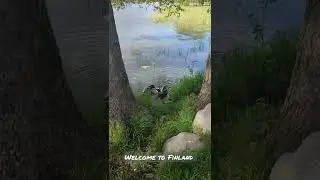 welcome to Finland