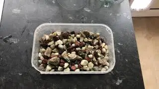 Fairy Garden Lesson 5