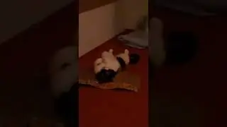 Sweet Baby relax, Hidden camera 😻