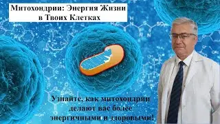 Митохондрии: Энергия Жизни в Твоих Клетках