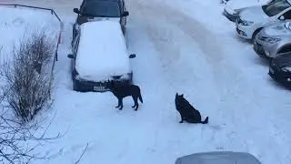 #поездкитд #УТМ - 20180309 0738