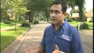 Tree care immediately following a hurricane. In Spanish