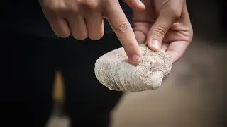 The Science of Clamshells and Climate Change