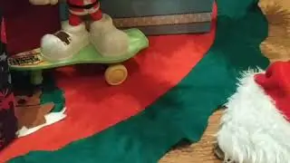 Santa Claus caught on hidden camera!