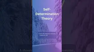 Definition of Self-Derermination Theory #selfdeterminationtheory #culturehabits #youtubeshortsvideo