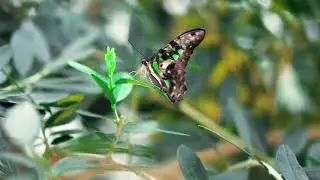 Владимир Вахитов - Дело прошлое