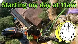Starting my days work at 11am (easy tree removal)