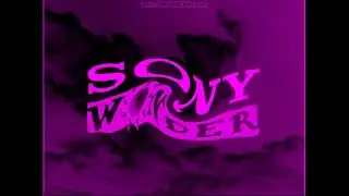 Sony Wonder Effects 2