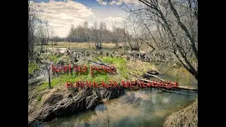 День советов на реке с #minelab #equinox700