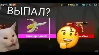 БОЛЬШОЕ ОТКРЫТИЕ КЕЙСОВ||Fan of Guns