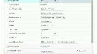 Thin Disk Creation