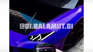Хамелеон 😱