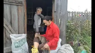 Докопали картошку. Планы на будущее.