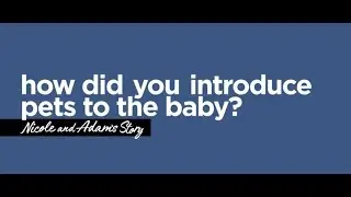 How did you introduce pets to the baby?