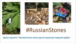 Подпроект 