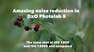 Raspberry Noise in DxO Photolab 5