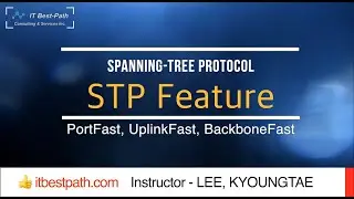 STP Feautre - PortFast / UplinkFast / BackboneFast