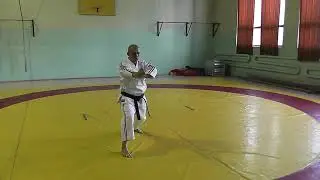 Ката Пинан Шодан  Вид спереди Kata Pinan Shodan  Front view   Косики Каратэ