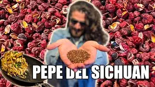 Olio essenziale dal PEPE DI SICHUAN