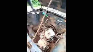 Африканский Кулибин   ЯПлакалъ