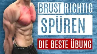 Beste Brustübungen – die beste Übung, um die Brust richtig zu spüren